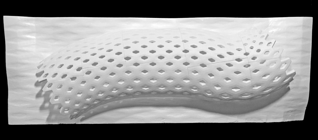 Huynh_Hieu_ARCH-564_MODELPICGRAY